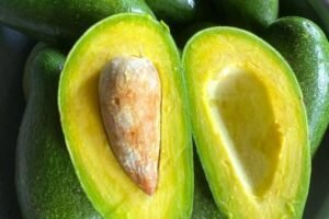 Doctors reveal that eating avocado causes…