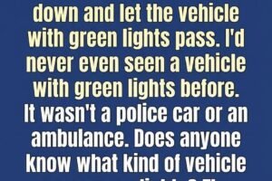 What Do Green Lights on Cars Mean? Here’s Why Drivers Should Pay Attention