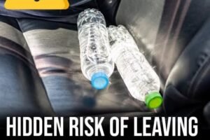 Hidden risk of leaving bottled water in your car during summer