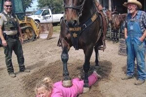 The HOA President Brought a Bulldozer to Tear Down My Horse Stables—Then the Sheriff Rolled Down His Window and Said Seven Words That Made Her Face Go White