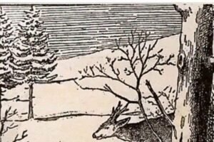 If You Can Spot The Man, Your Brain Is In Great Shape