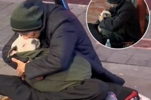 A Homeless Man In London Rocks His Dog To Sleep Every Night, And The Reason Is Breaking Hearts… See more