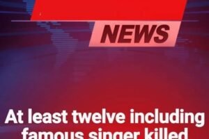 Twelve dead including famous singer in plane crash off remote island