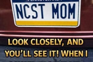 License Plate That Went Too Far