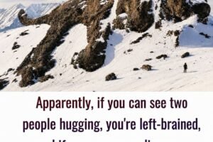 The ultimate visual brain-scan test: left-brained, right-brained ?