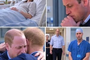 DEADLY FALL Prince Harry Is Devastated With Grief With Heavy Hearts We Announce the Passing