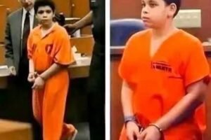 The Boy Who Stole Bread and the Judge Who Changed His Life wrk